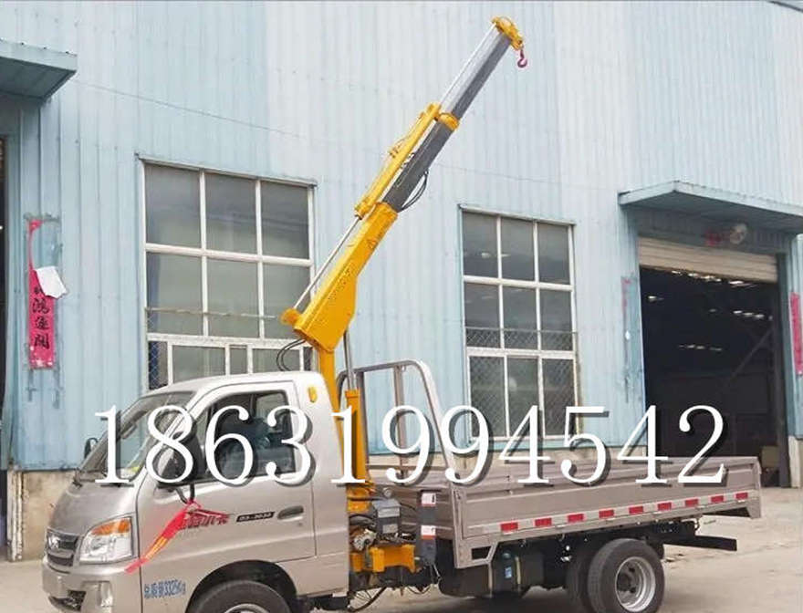 元谋县车载吊机多少钱车载吊机起重机小吊机220V车载多少钱吊车